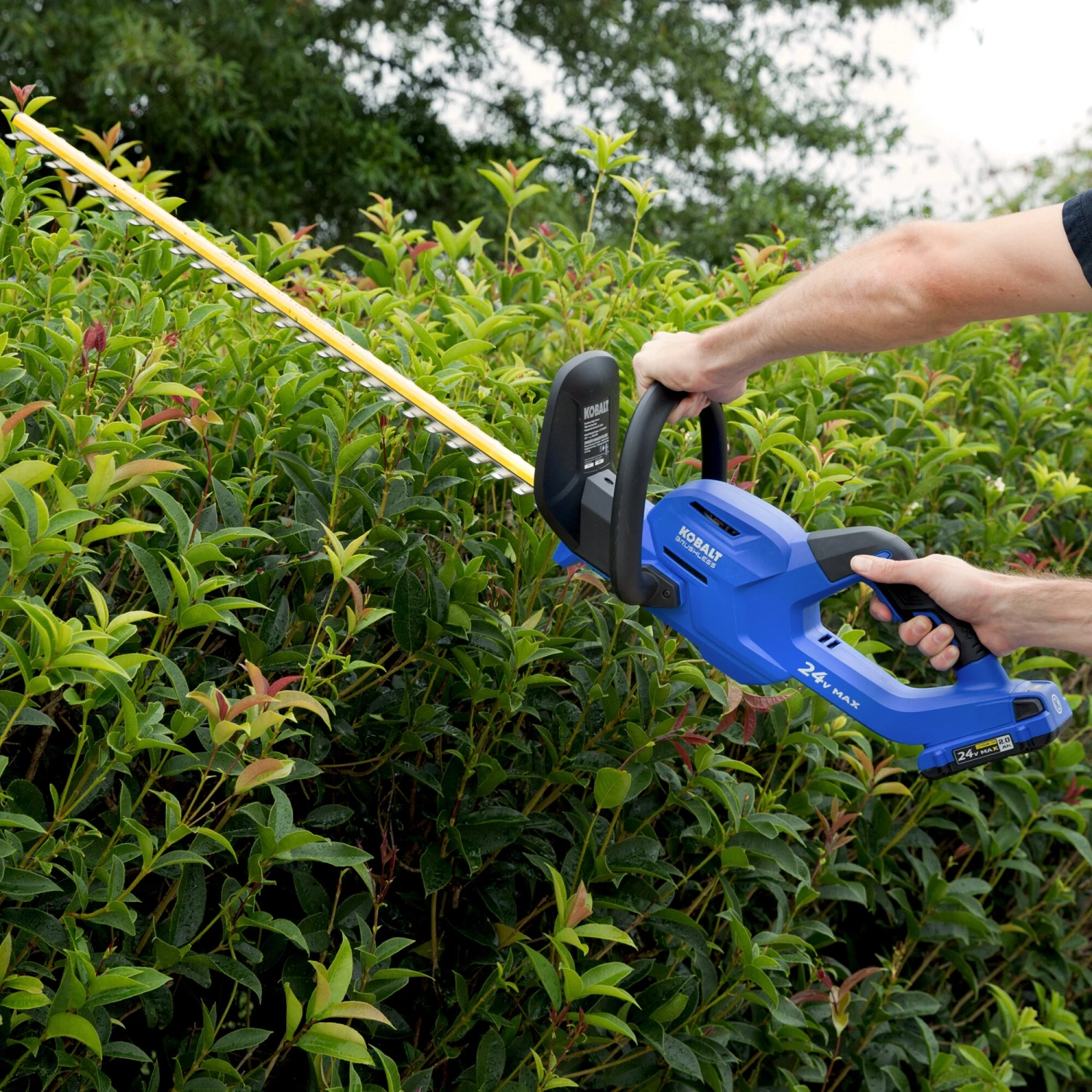 Outlet ๐ Kobalt Trimmers & Edgers 24-Volt Max 24-in Dual Cordless Electric Hedge Trimmer (1-Battery Included) ๐ 3 Outlet ๐ Kobalt Trimmers & Edgers 24-Volt Max 24-in Dual Cordless Electric Hedge Trimmer (1-Battery Included) ๐ - Image 3