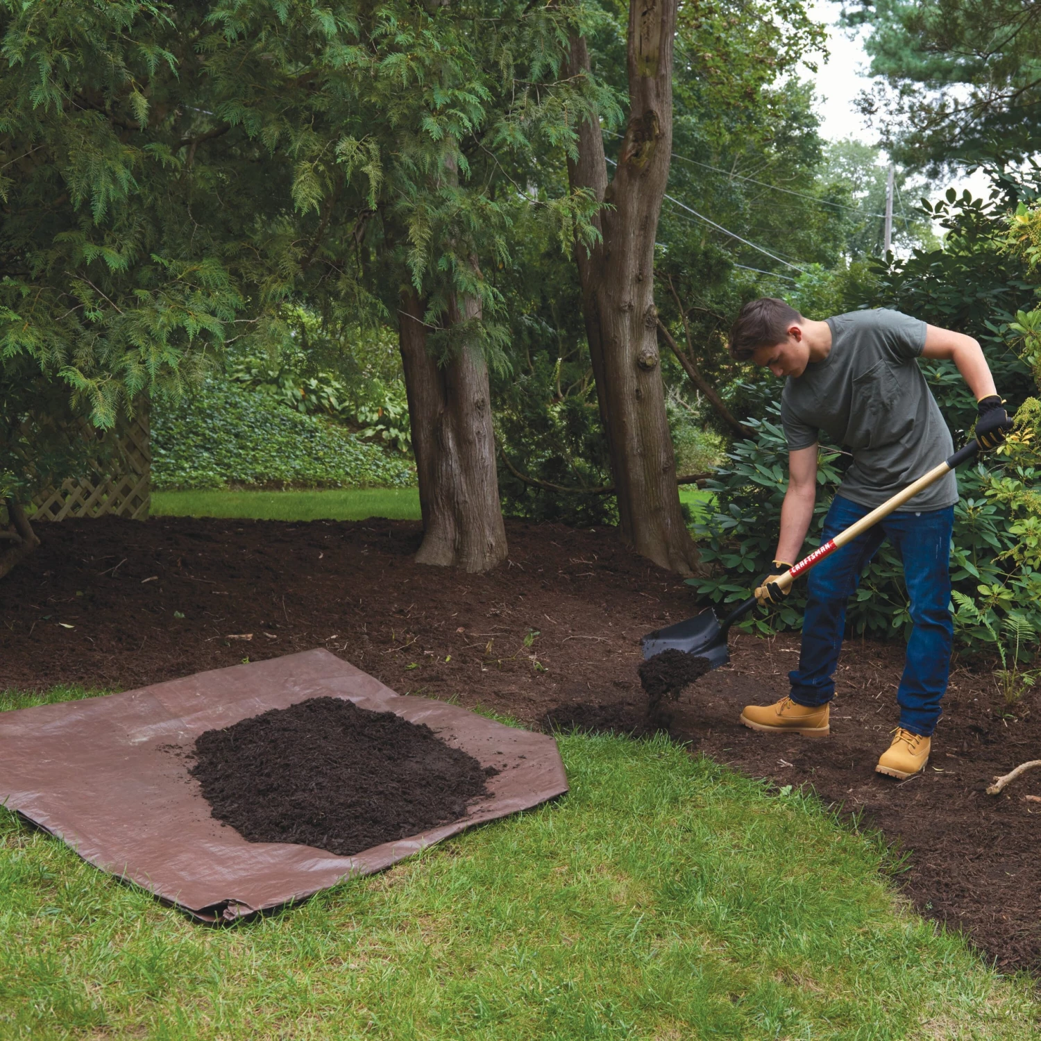 Coupon 🎁 CRAFTSMAN Lawn & Garden Hand Tools 44-in Wood Handle Transfer Shovel 🔔 4 Coupon 🎁 CRAFTSMAN Lawn & Garden Hand Tools 44-in Wood Handle Transfer Shovel 🔔 - Image 4