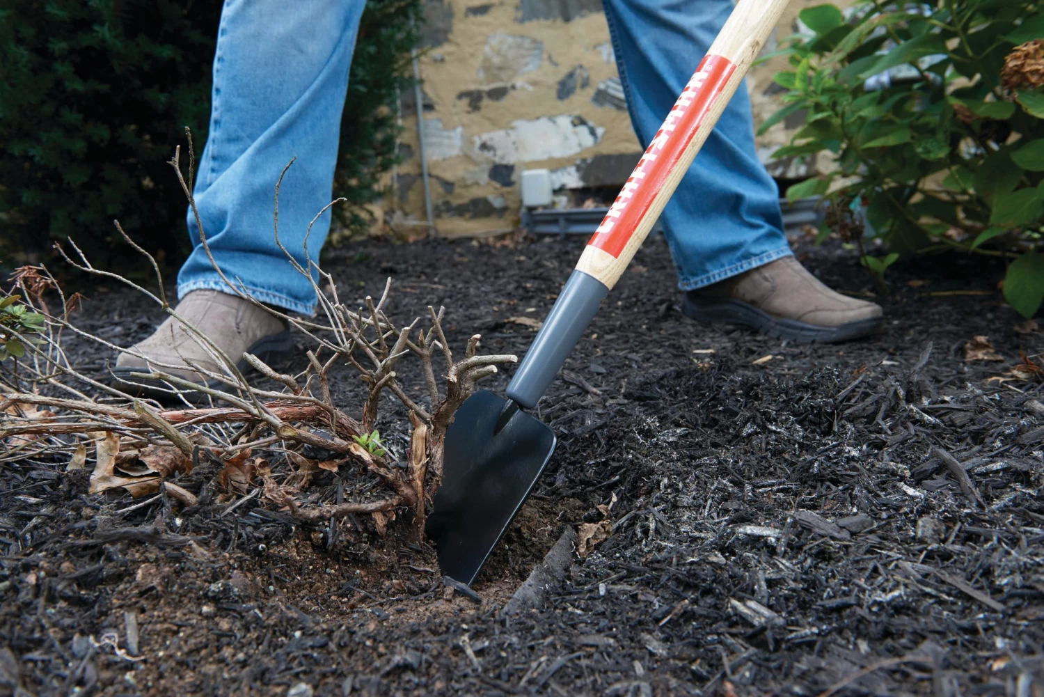 Buy ๐ CRAFTSMAN Lawn & Garden Hand Tools Scraper ๐ฏ 4 Buy ๐ CRAFTSMAN Lawn & Garden Hand Tools Scraper ๐ฏ - Image 4