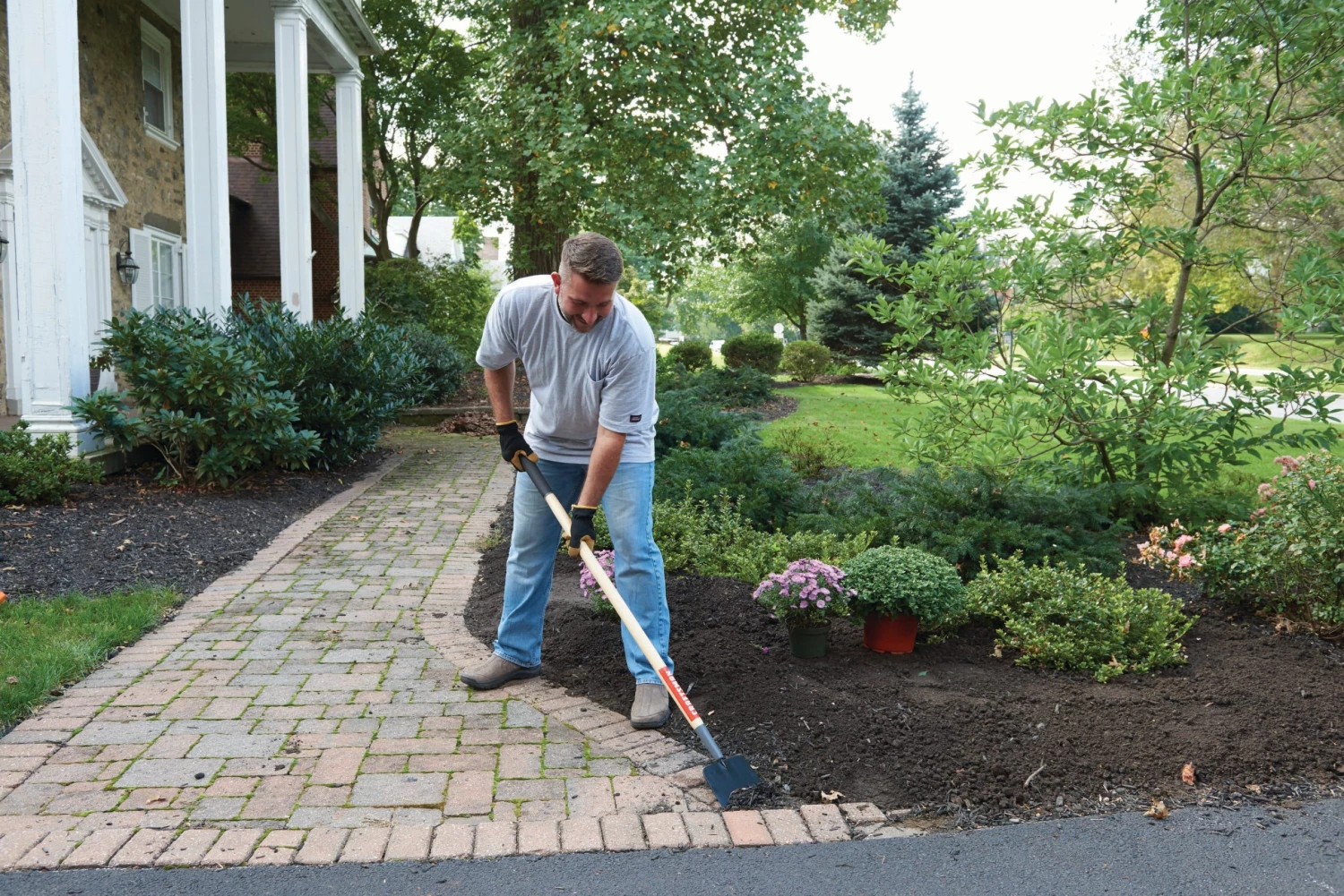 Buy ๐ CRAFTSMAN Lawn & Garden Hand Tools Scraper ๐ฏ 5 Buy ๐ CRAFTSMAN Lawn & Garden Hand Tools Scraper ๐ฏ - Image 5