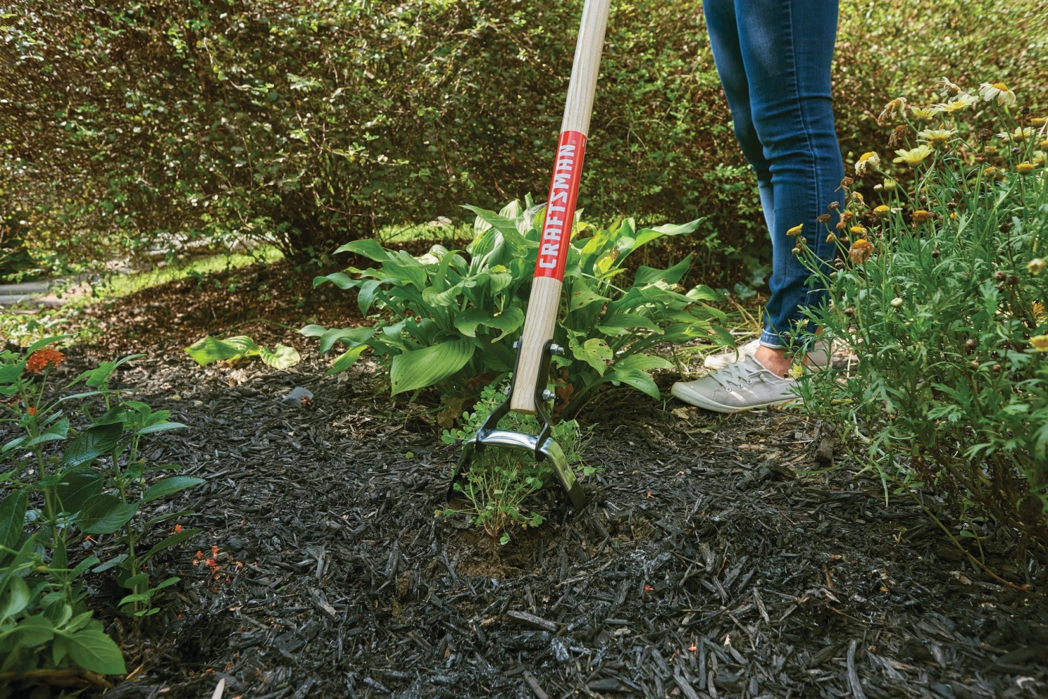 Promo ๐ CRAFTSMAN Lawn & Garden Hand Tools 54-in Wood-Handle Action Hoe โ๏ธ 2 Promo ๐ CRAFTSMAN Lawn & Garden Hand Tools 54-in Wood-Handle Action Hoe โ๏ธ - Image 2