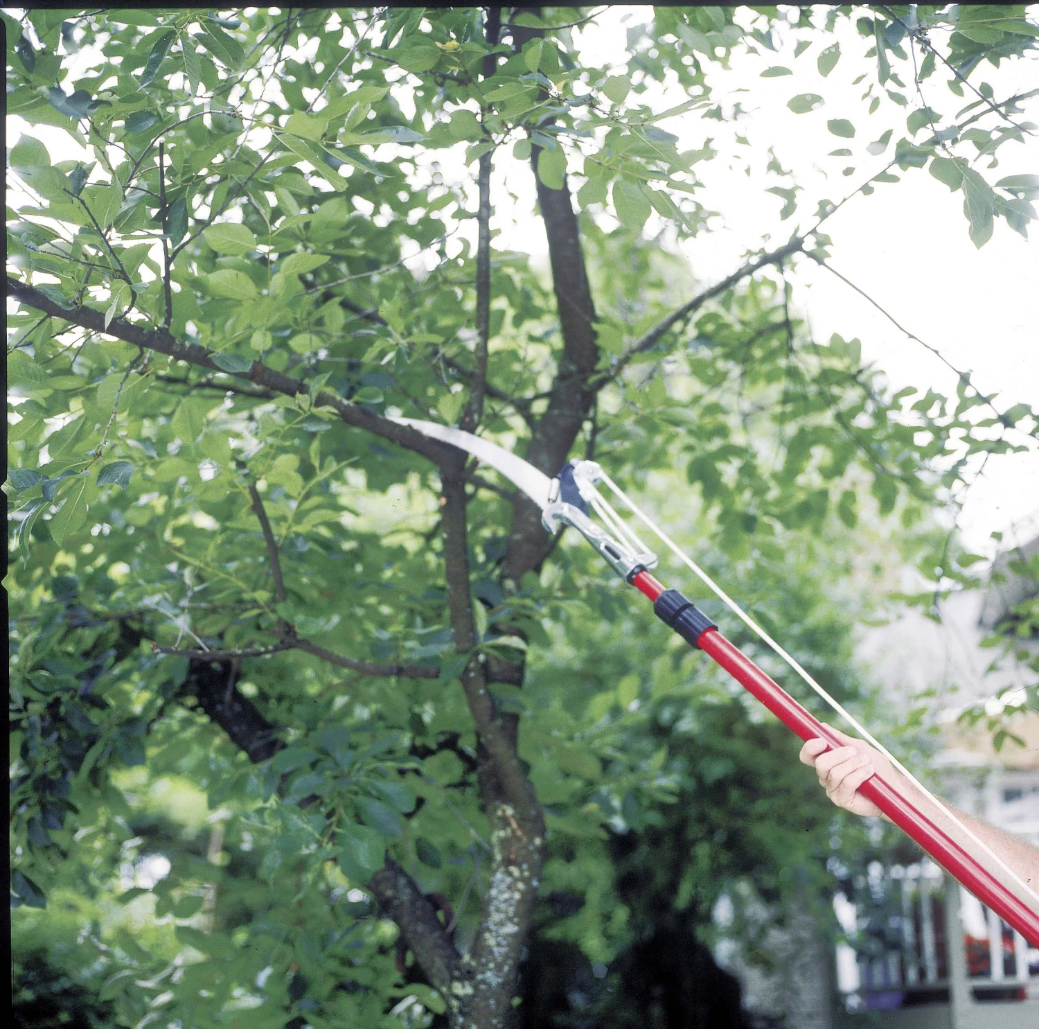 Coupon ❤️ Corona Chainsaws & Pole Saws 14-ft Fiberglass Compound Bypass Pole Pruner 💯 2 Coupon ❤️ Corona Chainsaws & Pole Saws 14-ft Fiberglass Compound Bypass Pole Pruner 💯 - Image 2