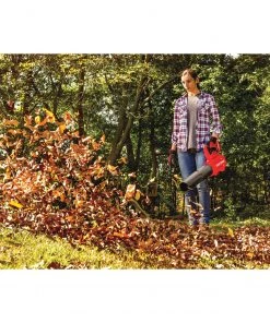 Cheap ๐ CRAFTSMAN Leaf Blowers V20 20-volt Max 350-CFM Brushless Handheld Cordless Electric Leaf Blower (Battery Included) โจ 31 Cheap ๐ CRAFTSMAN Leaf Blowers V20 20-volt Max 350-CFM Brushless Handheld Cordless Electric Leaf Blower (Battery Included) โจ -Outdoor Tools sale 14206871