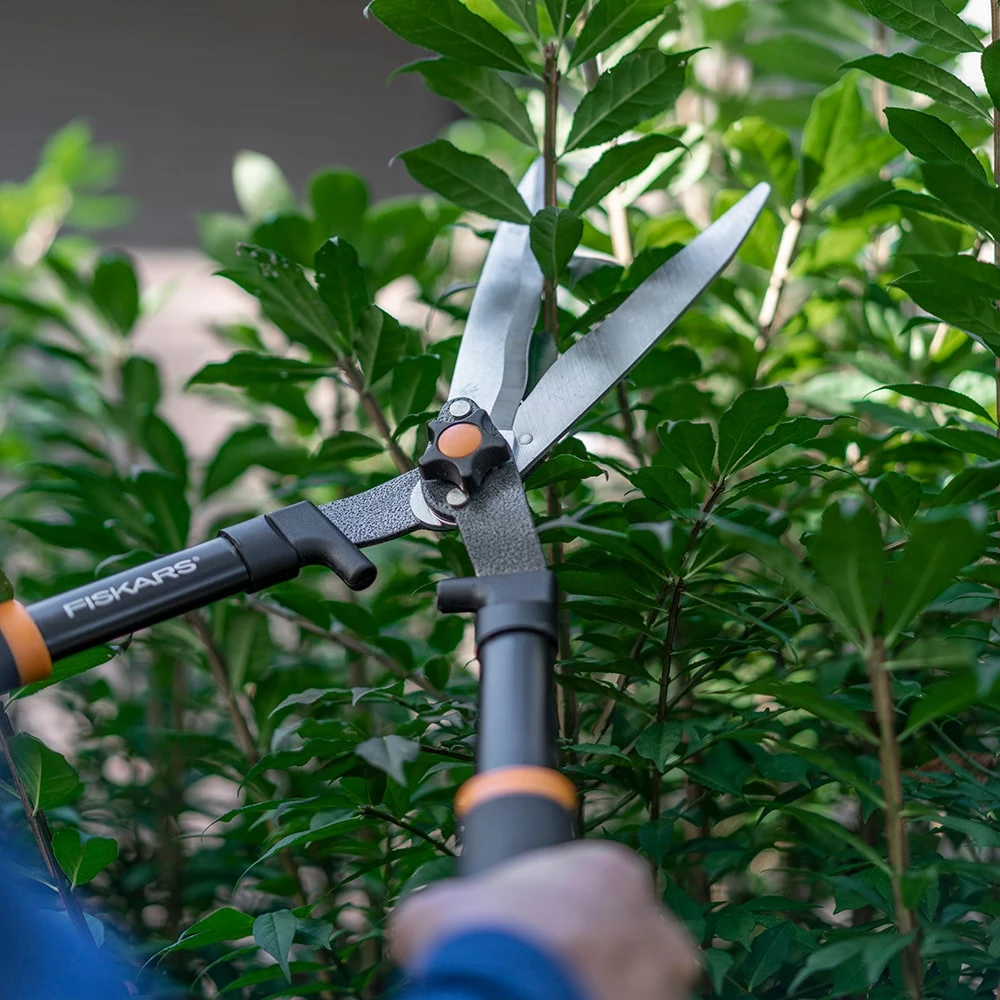 Cheap โจ Fiskars Trimmers & Edgers 8-in Steel Standard Hedge Shears ๐ฏ 4 Cheap โจ Fiskars Trimmers & Edgers 8-in Steel Standard Hedge Shears ๐ฏ - Image 4