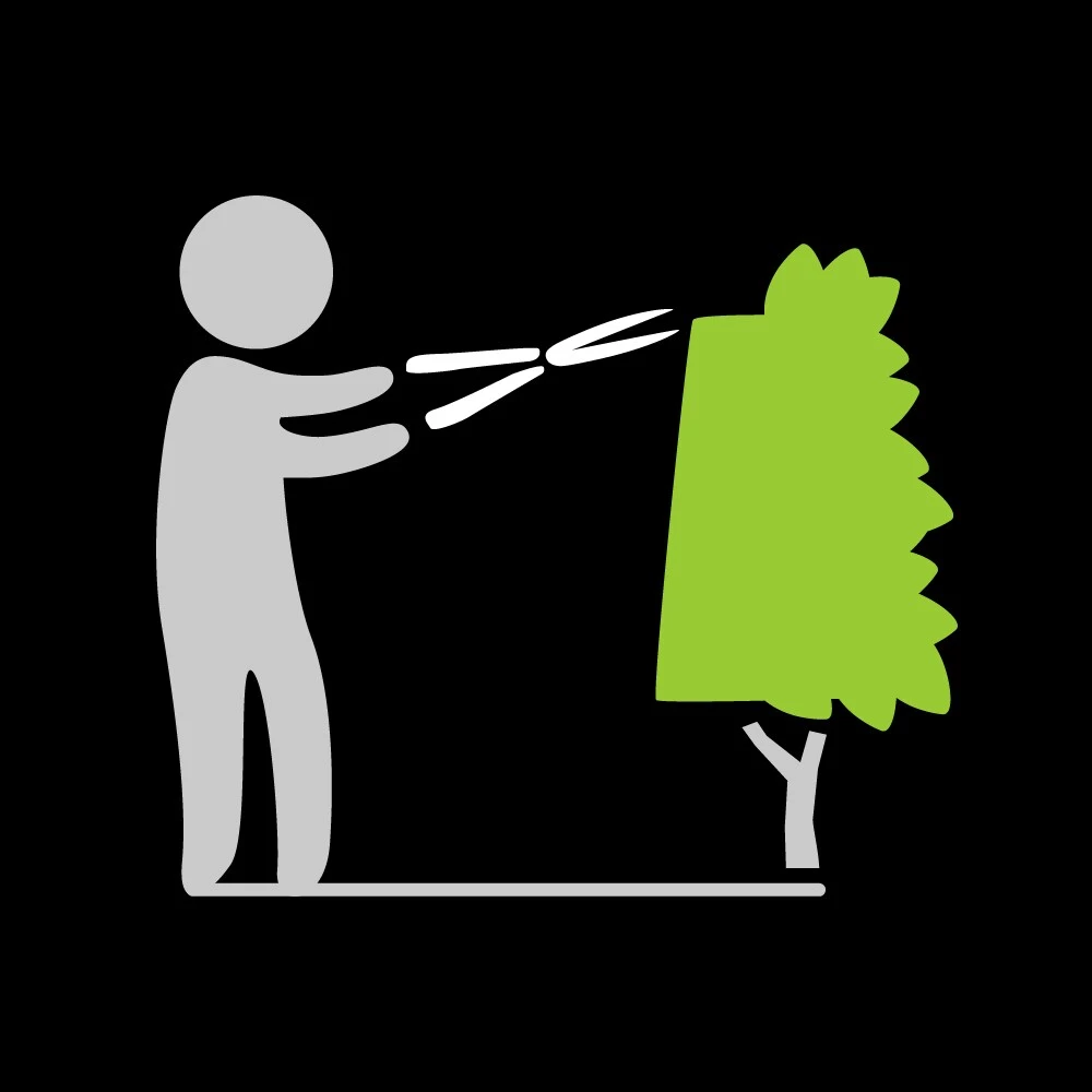 Cheap โจ Fiskars Trimmers & Edgers 8-in Steel Standard Hedge Shears ๐ฏ 5 Cheap โจ Fiskars Trimmers & Edgers 8-in Steel Standard Hedge Shears ๐ฏ - Image 5