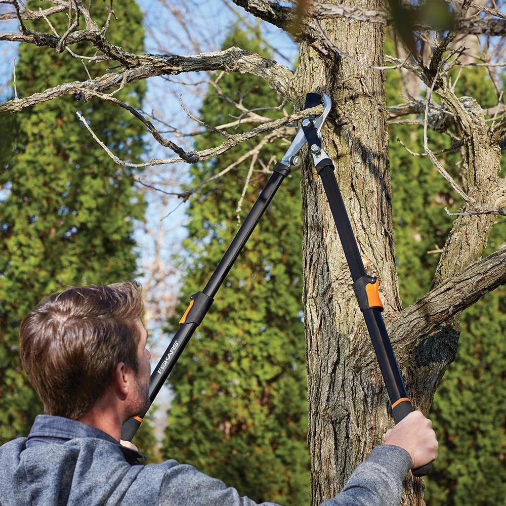 Best reviews of ๐ฏ Fiskars Lawn & Garden Hand Tools Power-Lever 25-in Telescoping Steel Bypass Lopper โ 6 Best reviews of ๐ฏ Fiskars Lawn & Garden Hand Tools Power-Lever 25-in Telescoping Steel Bypass Lopper โ - Image 6