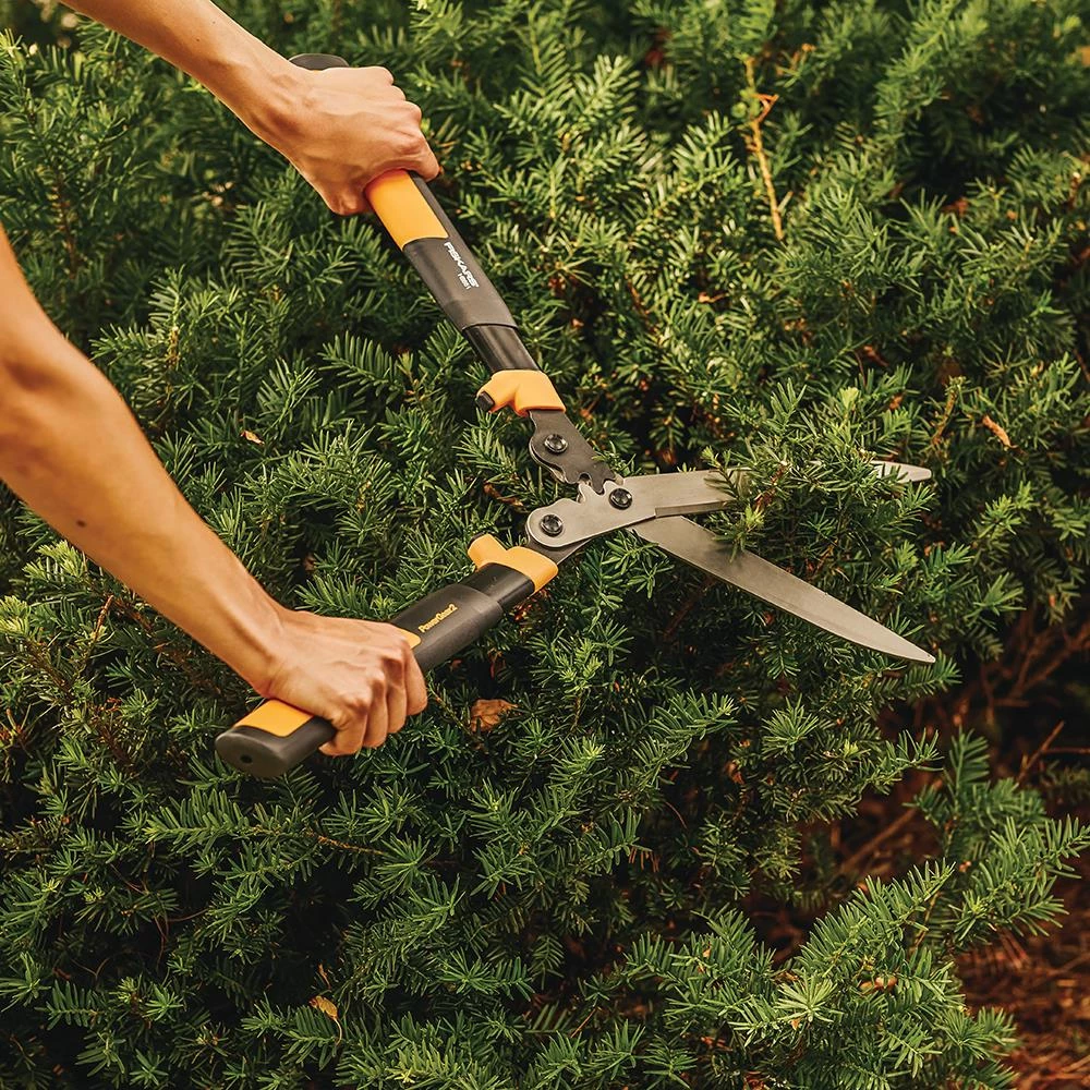 Best Sale ⭐ Fiskars Trimmers & Edgers 10-in Standard Hedge Shears ✨ 3 Best Sale ⭐ Fiskars Trimmers & Edgers 10-in Standard Hedge Shears ✨ - Image 3