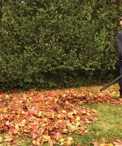 Cheap ❤️ CRAFTSMAN Leaf Blowers 12-Amp 450-CFM 260-MPH Corded Electric Leaf Blower (Vacuum Kit Included) ⭐ 29 Cheap ❤️ CRAFTSMAN Leaf Blowers 12-Amp 450-CFM 260-MPH Corded Electric Leaf Blower (Vacuum Kit Included) ⭐ -Outdoor Tools sale 17124961