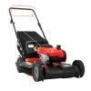 Discount 👏 CRAFTSMAN Lawn Mowers M220 150-cc 21-in Gas Push Lawn Mower Briggs & Stratton Engine 💯
