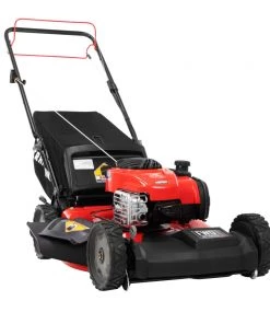 Discount ๐ CRAFTSMAN Lawn Mowers M220 150-cc 21-in Gas Push Lawn Mower Briggs & Stratton Engine ๐ฏ