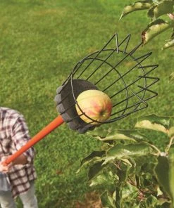 Best deal 💯 CRAFTSMAN Lawn & Garden Hand Tools Fruit Picker 👍 8 Best deal 💯 CRAFTSMAN Lawn & Garden Hand Tools Fruit Picker 👍 -Outdoor Tools sale 42278617