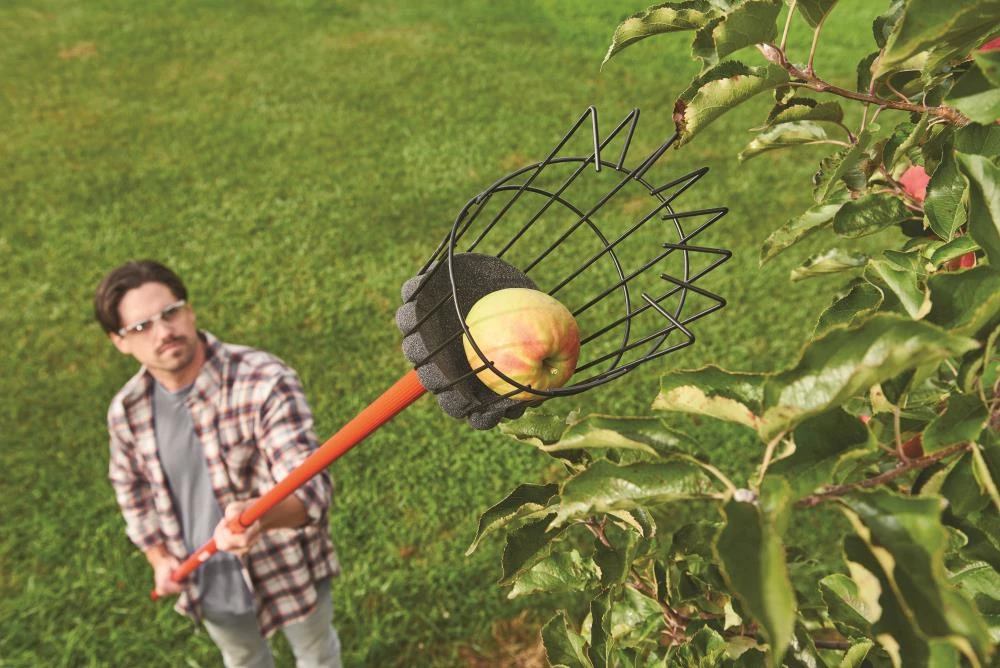 Best deal 💯 CRAFTSMAN Lawn & Garden Hand Tools Fruit Picker 👍 3 Best deal 💯 CRAFTSMAN Lawn & Garden Hand Tools Fruit Picker 👍 - Image 3