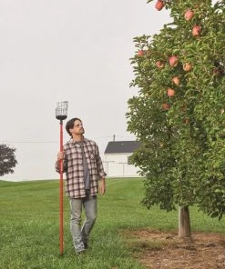 Best deal 💯 CRAFTSMAN Lawn & Garden Hand Tools Fruit Picker 👍 10 Best deal 💯 CRAFTSMAN Lawn & Garden Hand Tools Fruit Picker 👍 -Outdoor Tools sale 42278620