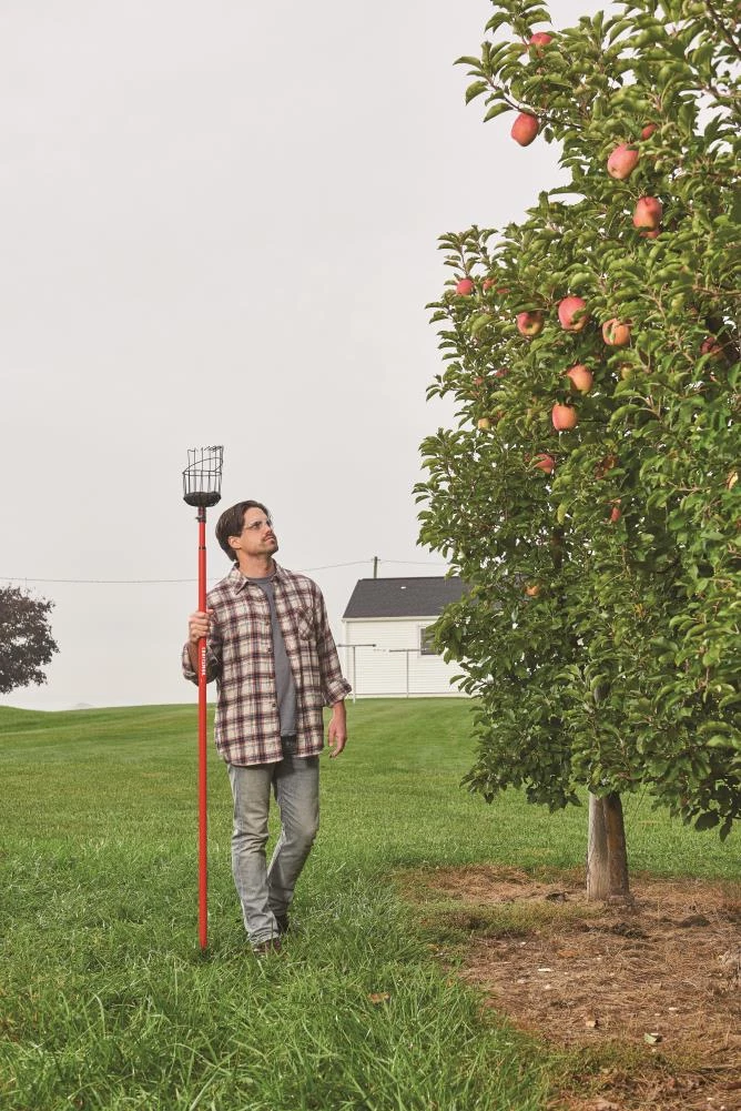 Best deal 💯 CRAFTSMAN Lawn & Garden Hand Tools Fruit Picker 👍 5 Best deal 💯 CRAFTSMAN Lawn & Garden Hand Tools Fruit Picker 👍 - Image 5