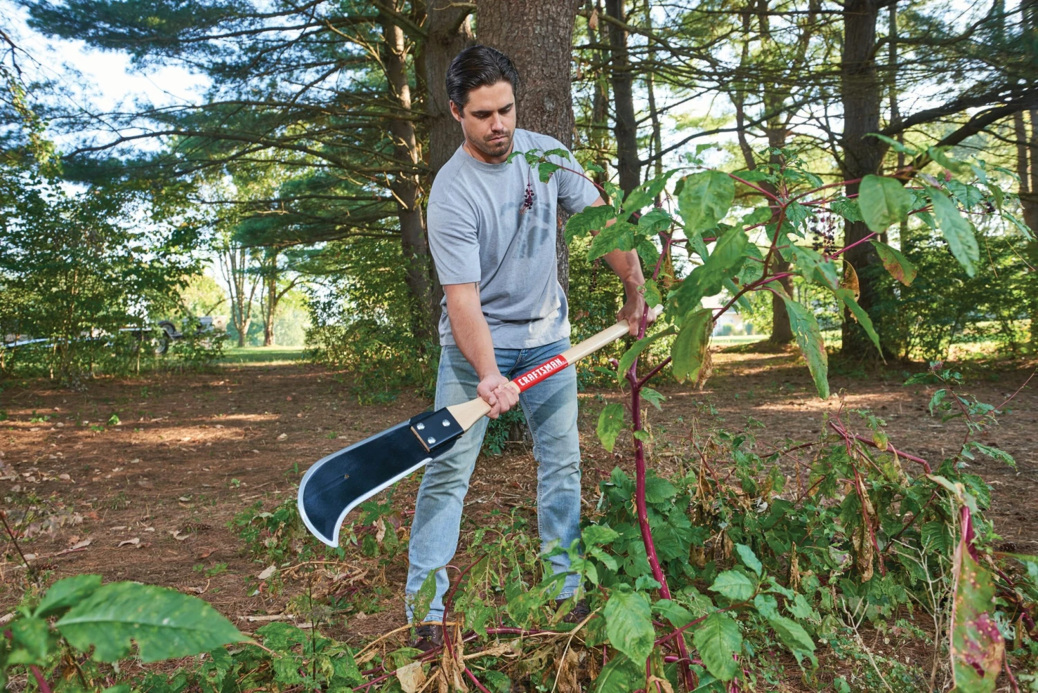 Coupon 😍 CRAFTSMAN Lawn & Garden Hand Tools Bush Axe ✔️ 3 Coupon 😍 CRAFTSMAN Lawn & Garden Hand Tools Bush Axe ✔️ - Image 3