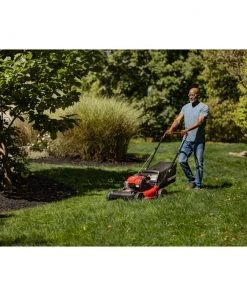 Discount 👏 CRAFTSMAN Lawn Mowers M220 150-cc 21-in Gas Push Lawn Mower Briggs & Stratton Engine 💯 -Outdoor Tools sale 42368347