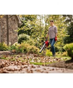 Best Sale 🤩 CRAFTSMAN Leaf Blowers B2200 25-cc 2-Cycle 200-MPH 430-CFM Handheld Gas Leaf Blower ✔️ 13 Best Sale 🤩 CRAFTSMAN Leaf Blowers B2200 25-cc 2-Cycle 200-MPH 430-CFM Handheld Gas Leaf Blower ✔️ -Outdoor Tools sale 42393167