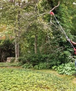 Buy ๐งจ CRAFTSMAN Chainsaws & Pole Saws V20 20-Volt 8-in Cordless Electric Pole Saw (Battery Not Included) ๐ 22 Buy ๐งจ CRAFTSMAN Chainsaws & Pole Saws V20 20-Volt 8-in Cordless Electric Pole Saw (Battery Not Included) ๐ -Outdoor Tools sale 43185815