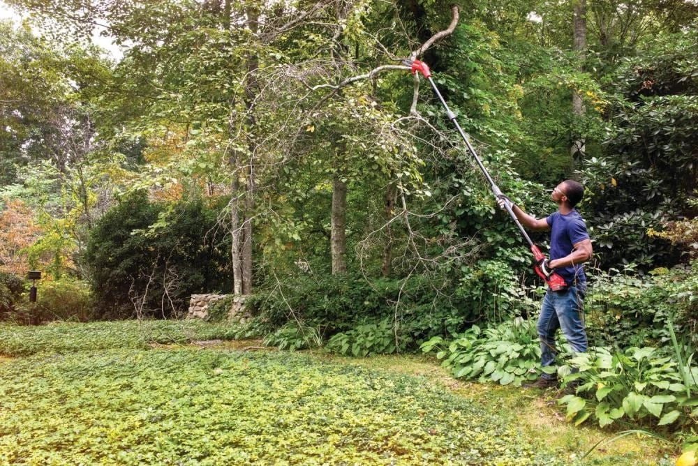 Buy ๐งจ CRAFTSMAN Chainsaws & Pole Saws V20 20-Volt 8-in Cordless Electric Pole Saw (Battery Not Included) ๐ 10 Buy ๐งจ CRAFTSMAN Chainsaws & Pole Saws V20 20-Volt 8-in Cordless Electric Pole Saw (Battery Not Included) ๐ - Image 10