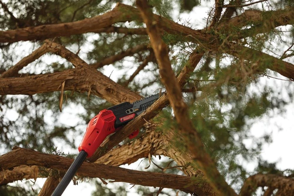 Buy ๐งจ CRAFTSMAN Chainsaws & Pole Saws V20 20-Volt 8-in Cordless Electric Pole Saw (Battery Not Included) ๐ 12 Buy ๐งจ CRAFTSMAN Chainsaws & Pole Saws V20 20-Volt 8-in Cordless Electric Pole Saw (Battery Not Included) ๐ - Image 12