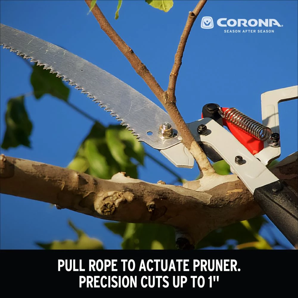 Coupon ❤️ Corona Chainsaws & Pole Saws 14-ft Fiberglass Compound Bypass Pole Pruner 💯 7 Coupon ❤️ Corona Chainsaws & Pole Saws 14-ft Fiberglass Compound Bypass Pole Pruner 💯 - Image 7