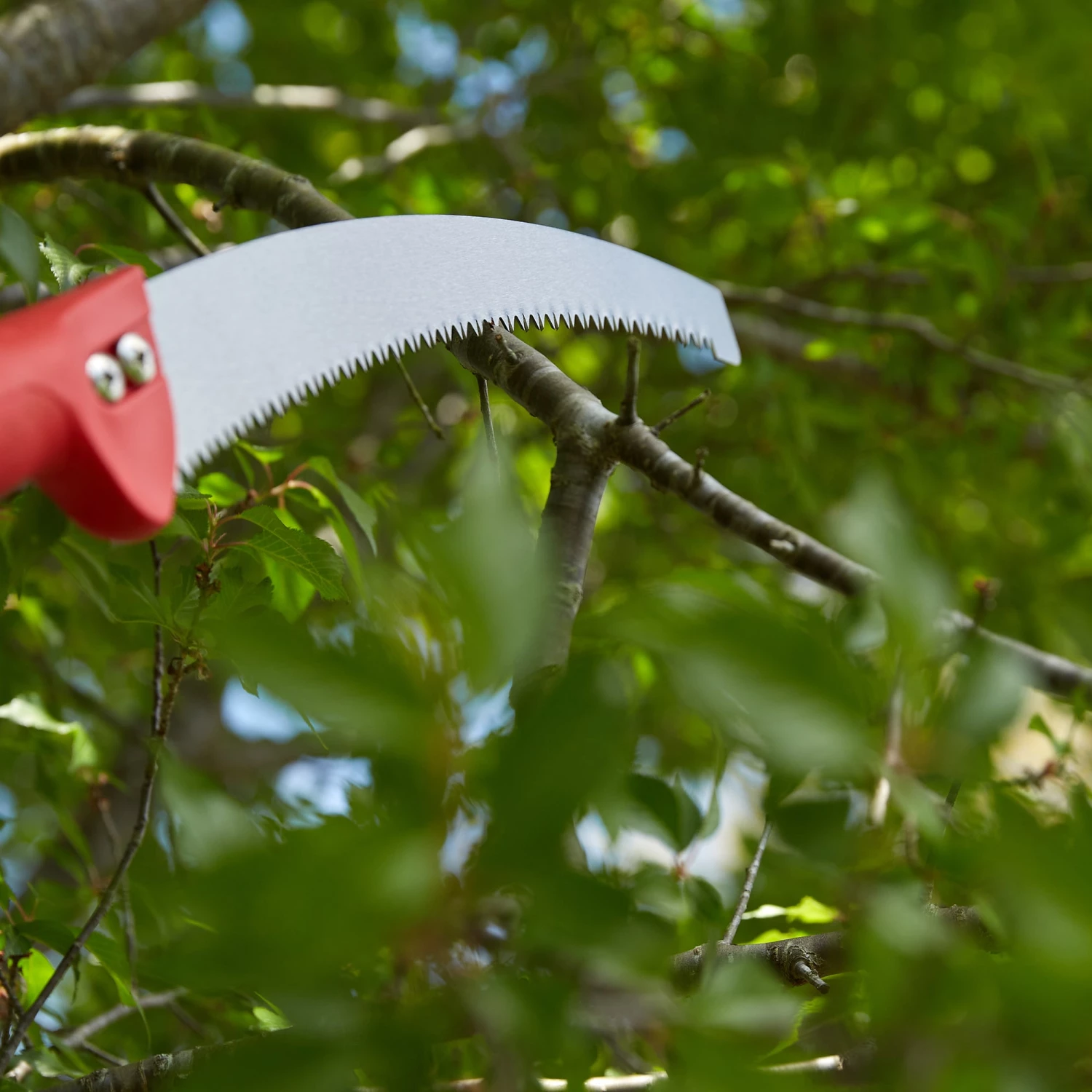 Hot Sale ⌛ Corona Chainsaws & Pole Saws Extendable 12-in Extendable 12-ft Pole Pruning Saw ⌛ 3 Hot Sale ⌛ Corona Chainsaws & Pole Saws Extendable 12-in Extendable 12-ft Pole Pruning Saw ⌛ - Image 3